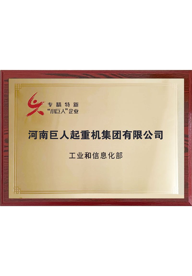 國家級專精特新小巨人企業